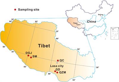 Abundant and Rare Microbial Biospheres Respond Differently to Environmental and Spatial Factors in Tibetan Hot Springs